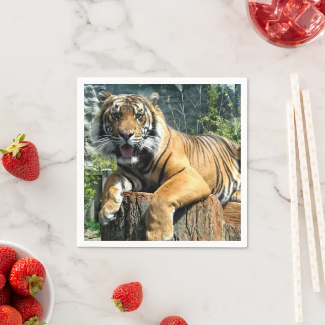 Cute Tiger Pappersservett (Insitu)