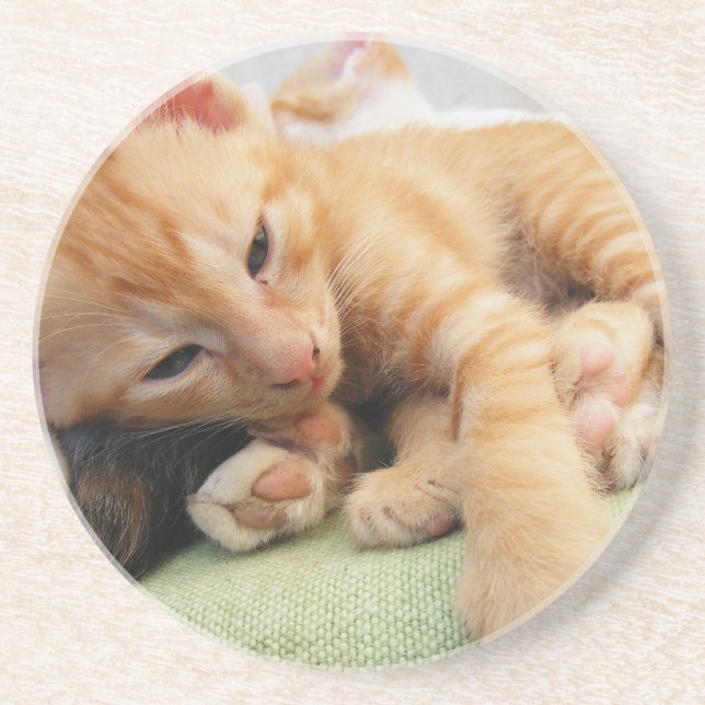 Cute Tiger Rand Kitten Underlägg Sandsten (Framsidan)