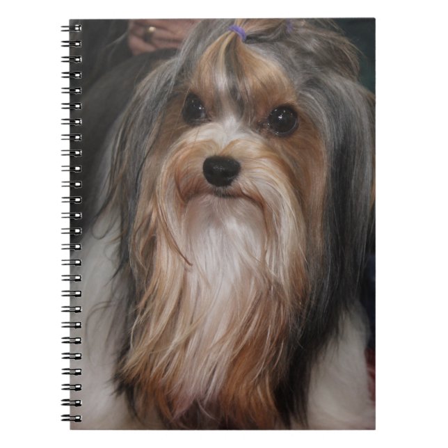 CUTE TINY BIEWER TERRIER HUND ANTECKNINGSBOK (Framsidan)