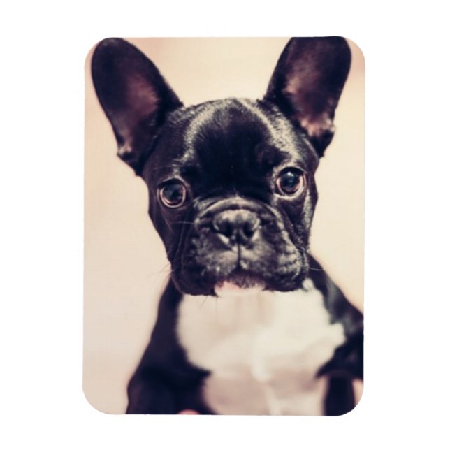 Cute Tiny Black and White Puppy Magnet (Vertikal)