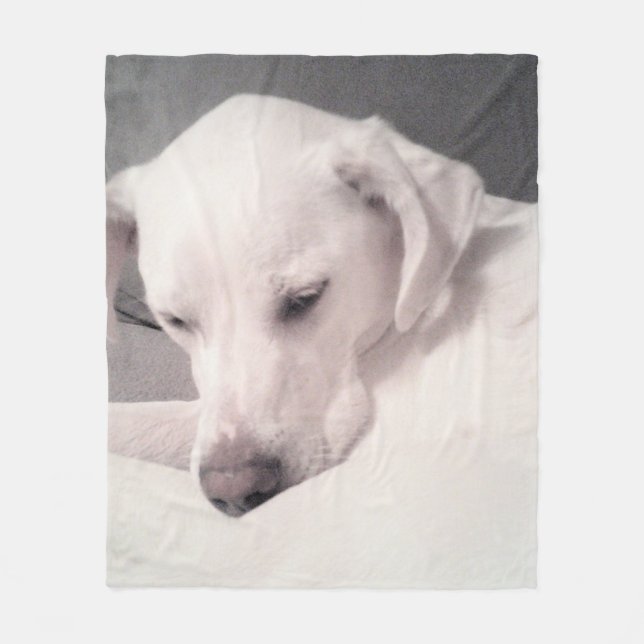 Cute Tired White Labrador Blanda Hund Grått Medium Fleecefilt (Framsidan)