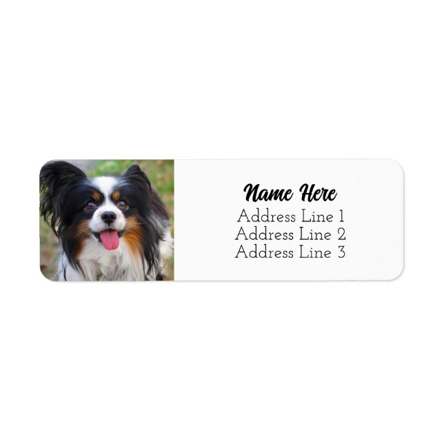 Cute Tri Färg Papillon Puppy Hund Returadress Etikett (Framsidan)