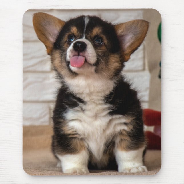 Cute Tri färg Pembroke Welsh Corgi Puppy Hund Musmatta (Framsidan)