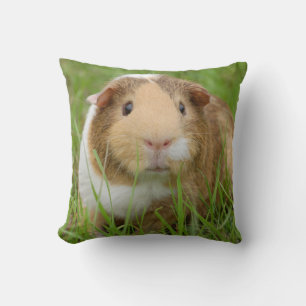 Cute Tricolor Guinea Gris i Grönt Grass Kudde
