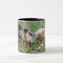 Cute Triplet Muscovy Ducklings Running Mugg