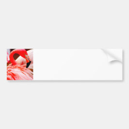 Cute Tropical Bright Rosa Flamingo Bildekal