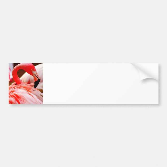 Cute Tropical Bright Rosa Flamingo Bildekal (Framsidan)