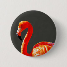 Cute Tropical Bright Rosa Flamingo