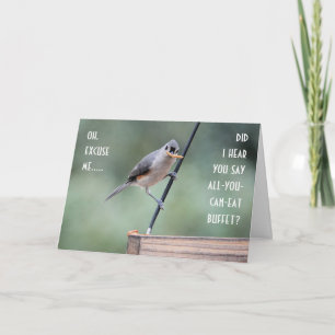 Cute Tuftad Titmus på Feeder, Lårdag Kort