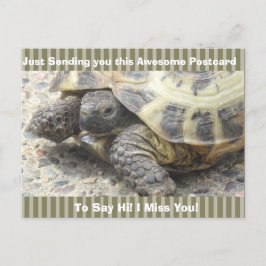 Cute Turtle "I Miss you" säger Hi Post Card Vykort