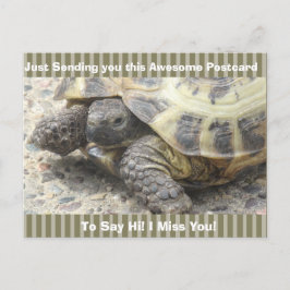 Cute Turtle "I Miss you" säger Hi Post Card Vykort