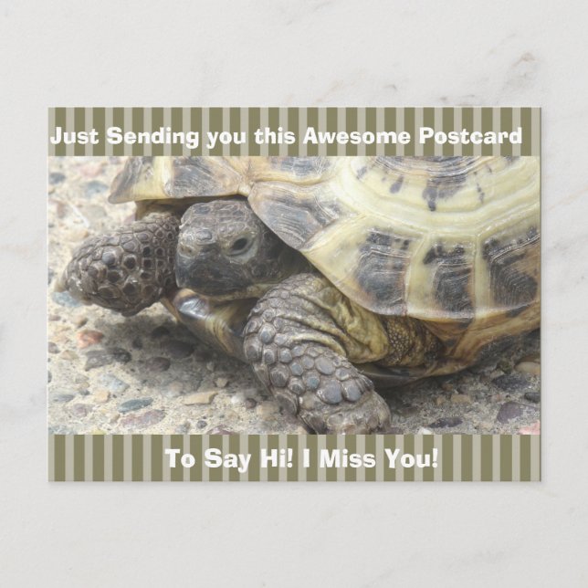 Cute Turtle "I Miss you" säger Hi Post Card Vykort (Framsida)