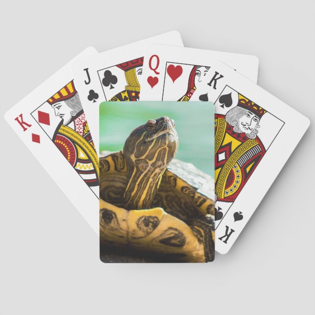 Cute Turtle-spelkort Casinokort (Baksidan)