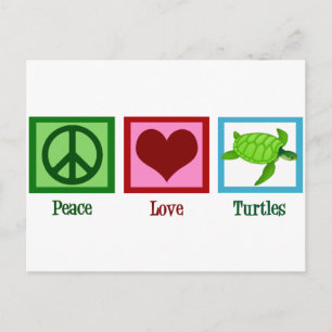 Cute Turtle Vykort