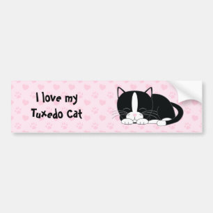 Cute Tuxedo Cat Bildekal