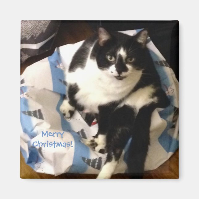Cute Tuxedo Cat, om dagens julmagneter Magnet (Framsidan)