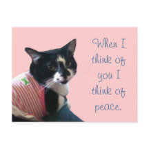 Cute Tuxedo Cat Tänka of Peace Postcards