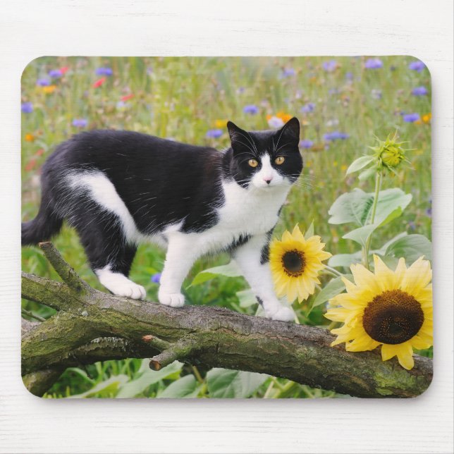 Cute tuxedo-katt på träd gren med solblommor - musmatta (Framsidan)