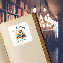 Cute Uggla Bok Stickers - bokskylt för Personlig Fyrkantigt Klistermärke