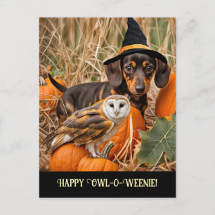 Cute Uggla Dachshund Happy halloween Helg Vykort