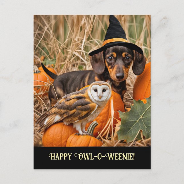Cute Uggla Dachshund Happy halloween Helg Vykort (Framsida)