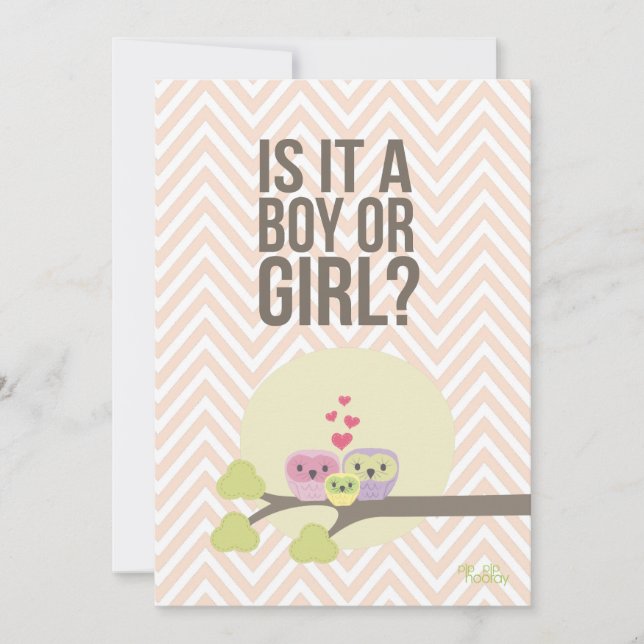 Cute Uggla Familj Baby Gender Reveal Party Inbjuda Inbjudningar (Framsida)