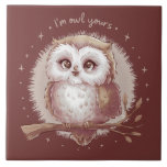 Cute Uggla Illustration Whimsical Cottagecore Art Kakelplatta<br><div class="desc">Den här lysande illustrationen med uggla fångar ett mysigt, kottecoretetiskt estetiskt med mjuka ärftliga toner och en drömmande, handritad stil. Den här kawaiininspirerade uggla, som sitter delikaterat på en gren under ett stjärnande himmel, har ett stort, uttryckligt ögon och fluffa fjädrar, skapar det perfektens val för naturen älskare och de...</div>