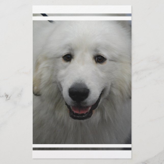 Cute Underbar White Pyrenees (Framsida)