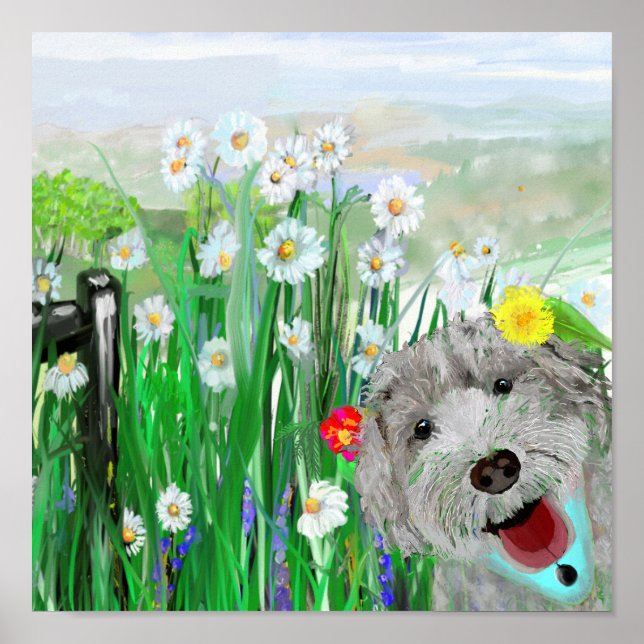 Cute, underliga Labradoodle-Daisy Väggkonst Poster (Framsidan)