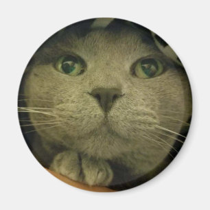 CUte-up Kattunge Ansikte Magnet