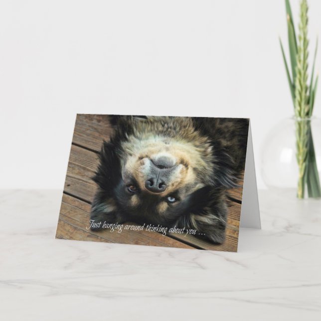 Cute upp och ned-Hund tänker på ditt kort (Framsida)