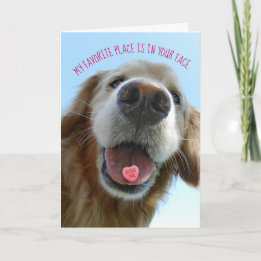 Cute Valentine Day Golden Retriever Kiss me Kort