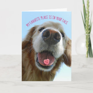 Cute Valentine Day Golden Retriever Kiss me Kort