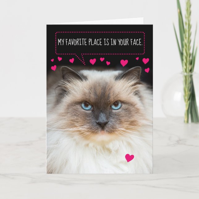Cute Valentine Day Siamese Cat and Hearts Kort (Framsida)
