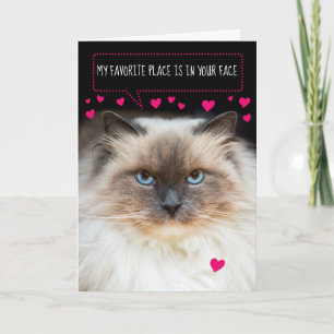 Cute Valentine Day Siamese Cat and Hearts Kort