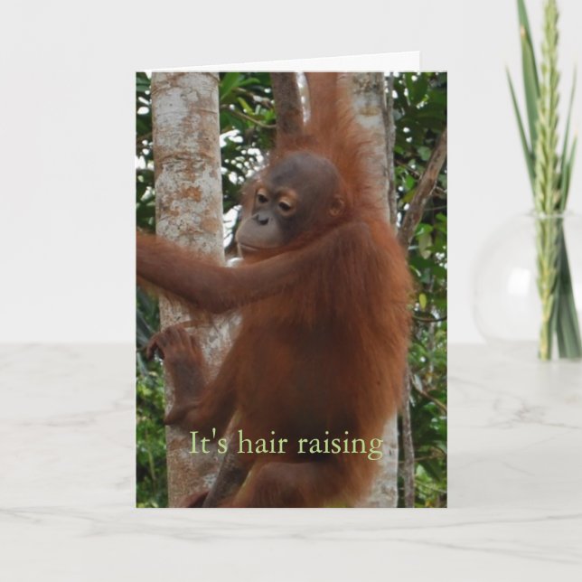 Cute Valentine Hair Raising Wildlife Experience Helgkort (Framsida)