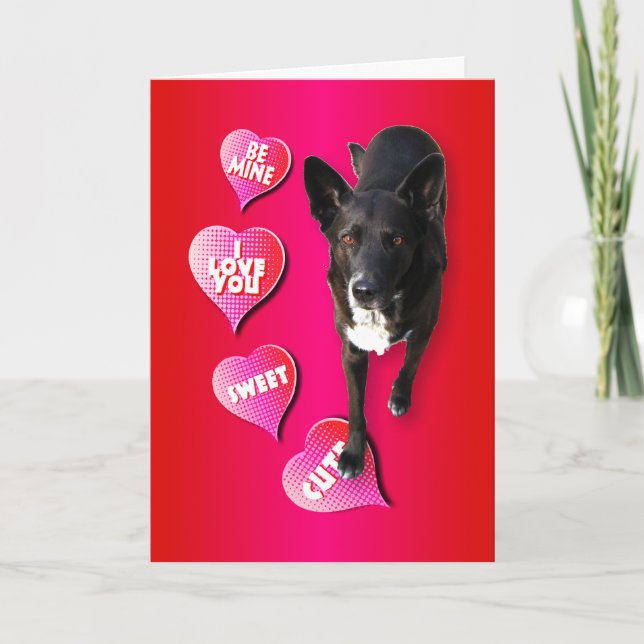 Cute Valentine Hund Card Helgkort (Framsida)