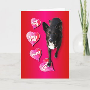 Cute Valentine Hund Card Helgkort