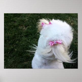 Cute-valp med rosett band poster