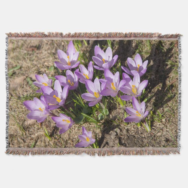 Cute vår crocuses filt (Framsidan)