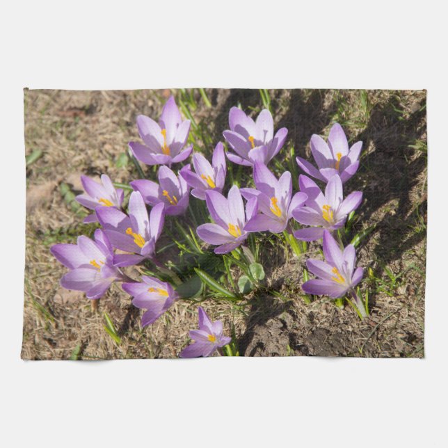 Cute vår crocuses kökshandduk (Horisontell)