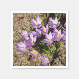Cute vår crocuses pappersservett
