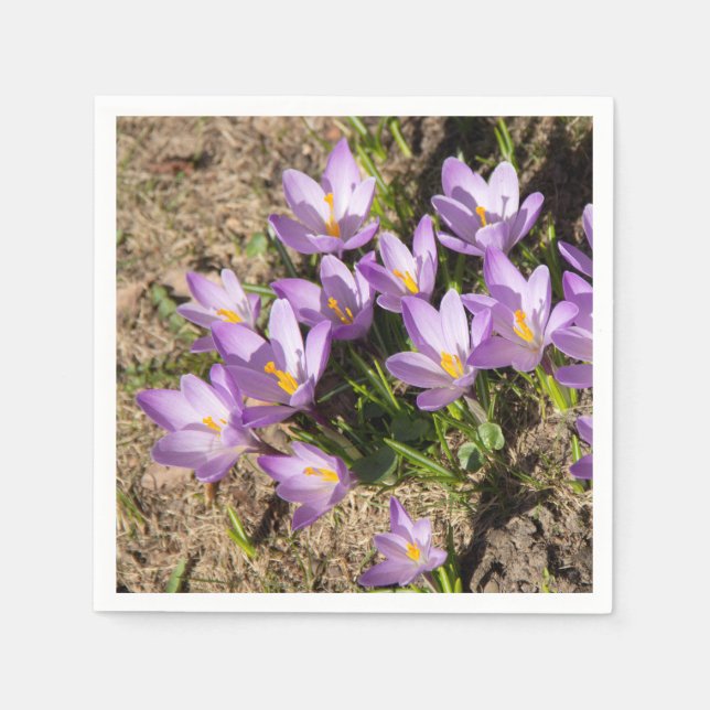Cute vår crocuses pappersservett (Framsidan)