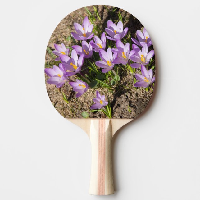Cute vår crocuses pingisracket (Framsidan)