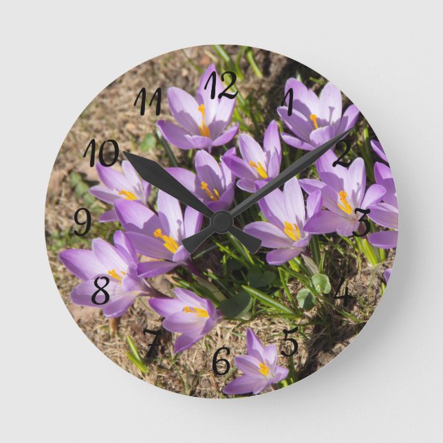 Cute vår crocuses rund klocka (Framsida)