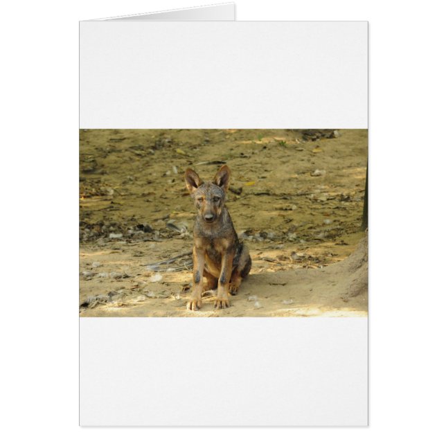 Cute Varg Unge Hälsningskort (Framsidan)