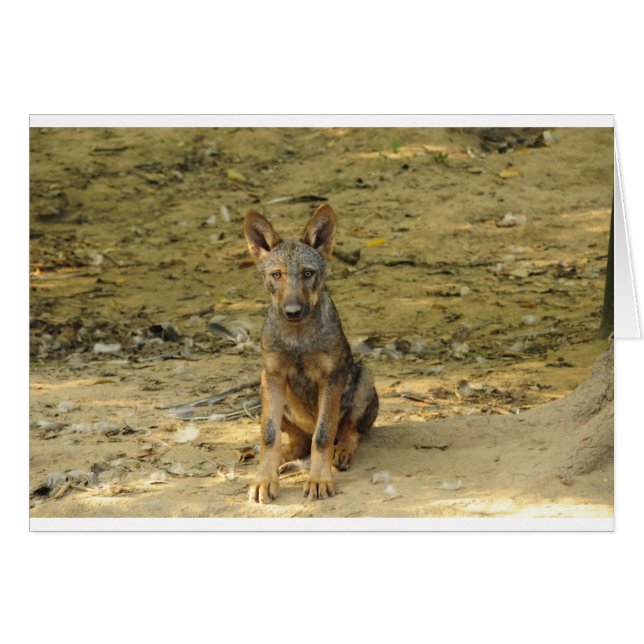 Cute Varg Unge Hälsningskort (Framsidan Horizontal)