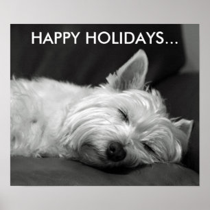 Cute Väster Highland Terrier-Hund Poster