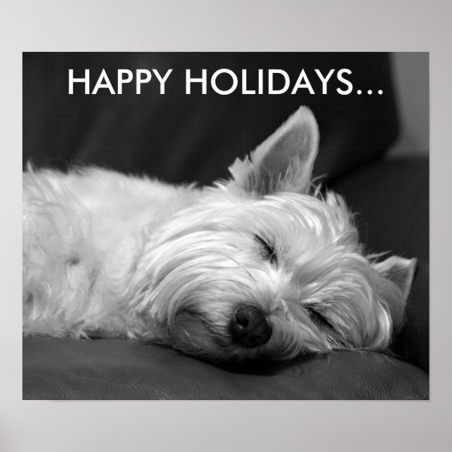 Cute Väster Highland Terrier-Hund Poster (Framsidan)