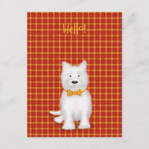 Cute Väster Highland Terrorism "hej postcard Vykort